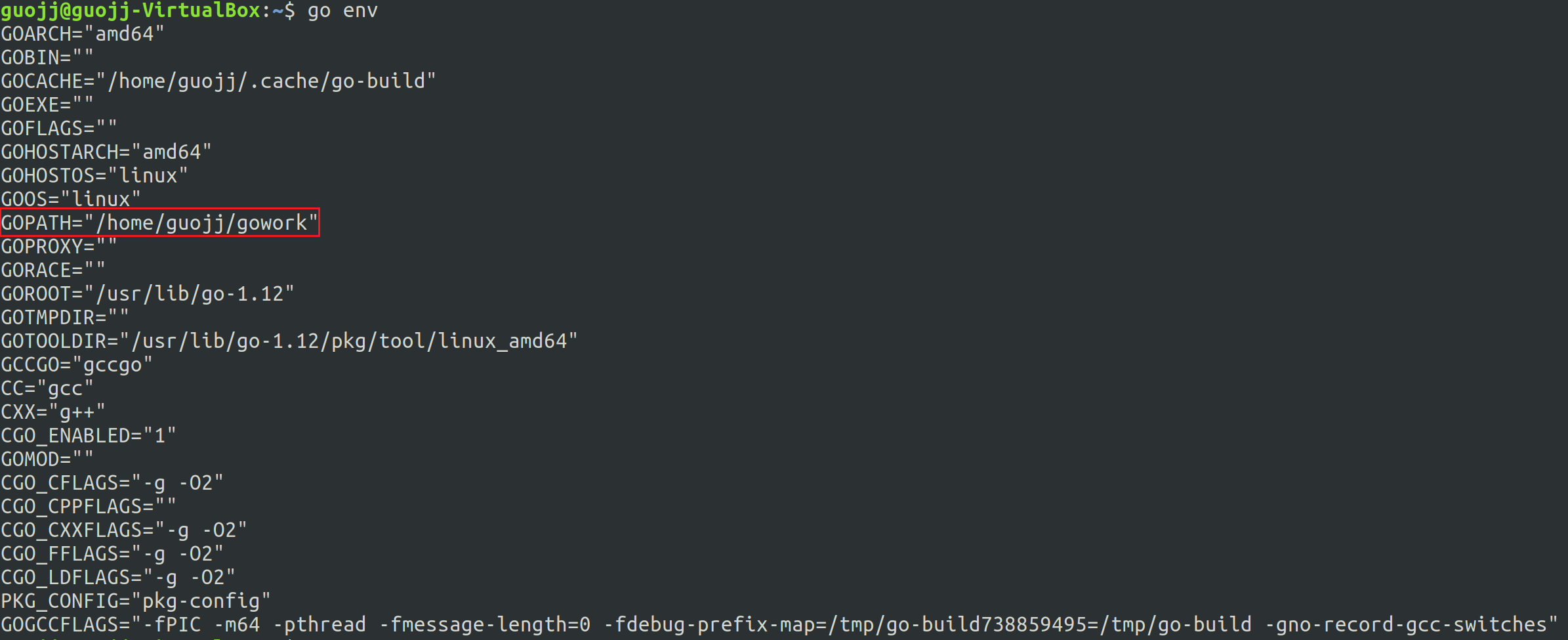 go env